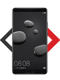 Mate 10