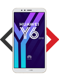 Y6 (2018)