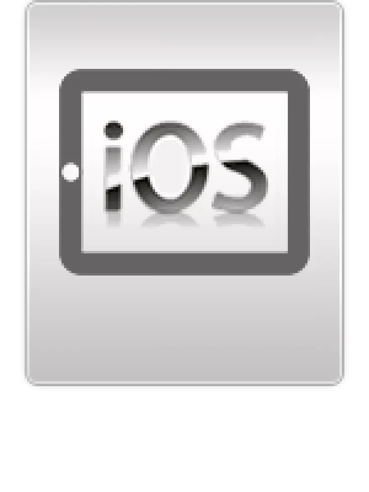 apple-iPad-air-2-software-reparatur-icon-leltsfix