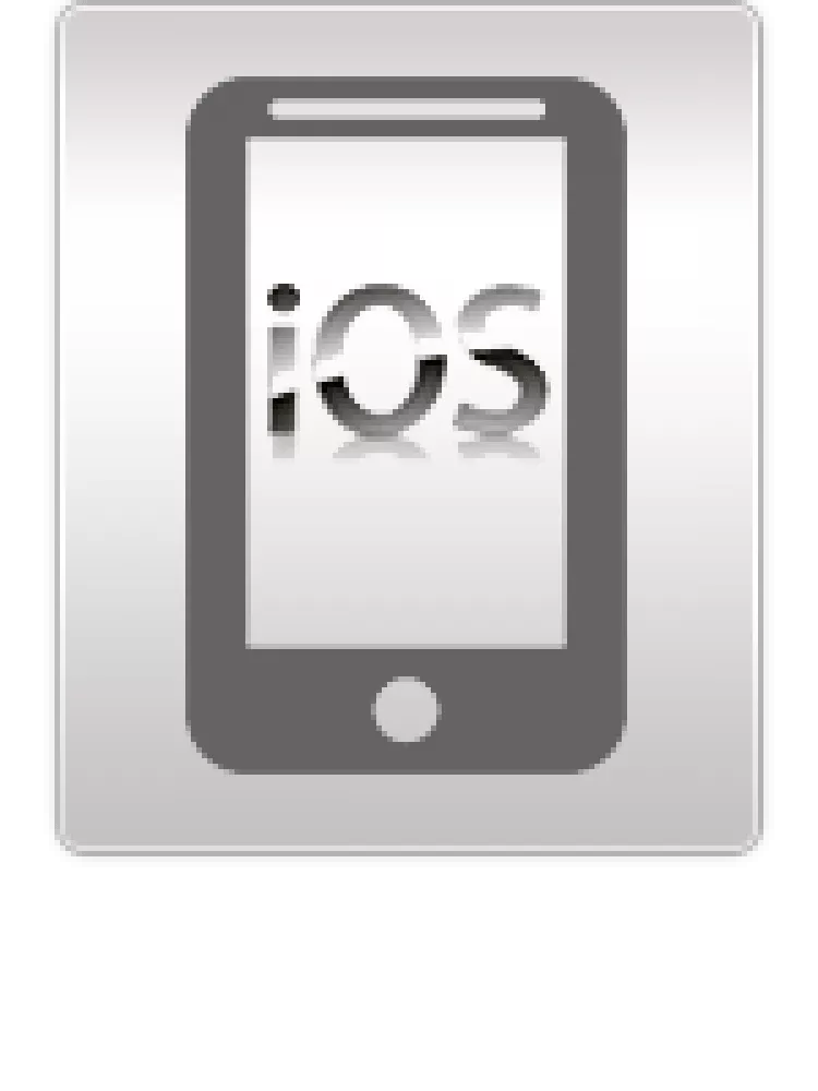 Apple-iPhone-4-Software-Reparatur-Icon-Letsfix